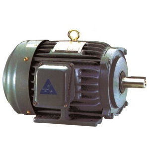 AEEF Motor, reclinada Tipos de pared